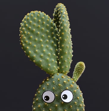 cactus with googly eyes