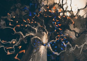 looking up in flock of birds flying to mysterious dark old tree,digital painting
